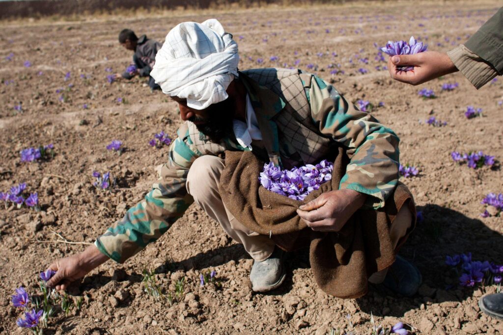 fabdx wopbzcoeb60azuzlyhfvg1reqgc6lmonwpjsnurvatz0qatqi95pp9czplapg9rxhj13y503ndlgjzqz mdjjtqe9onklb1o8n0qm