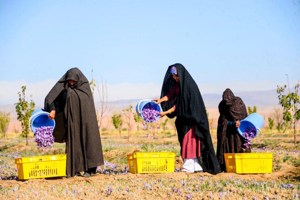 gaq4zzqksx2jpkbbnlmm6gritlwt0myk1yhbdsc9kgnbcjce z2qdevyabaztz5bz22rnp42q6epjkg8wgag5j0ru6 p9oipf4db9lppq o