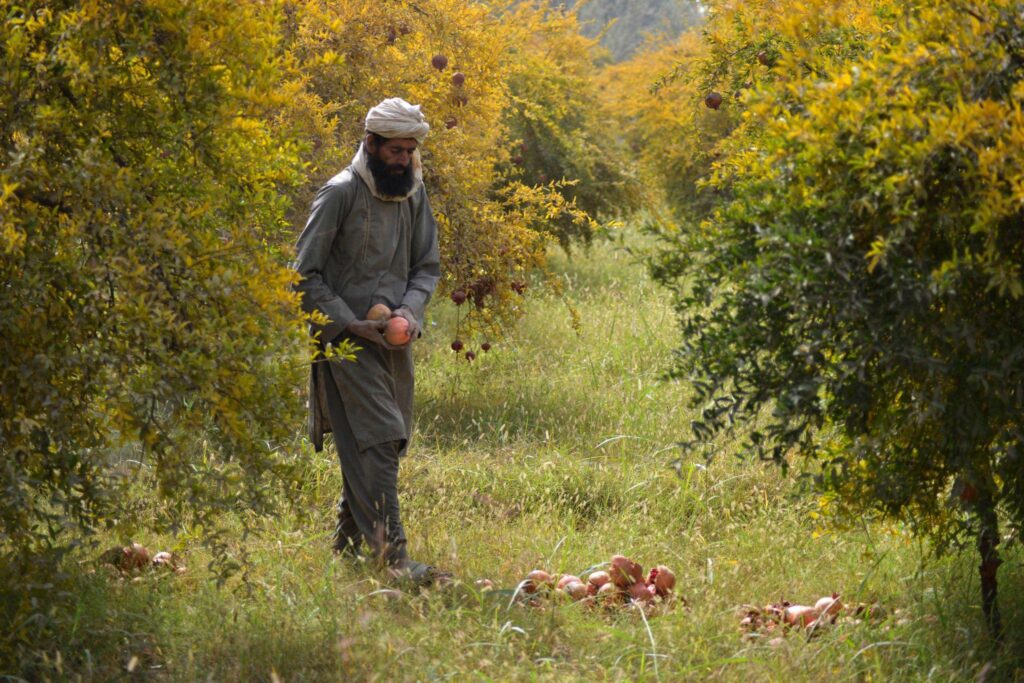 biqqnlsyrferruxj8qgtczk5ckdxaid3ys9swkvlg5rlhkcckgcg x3r04b1duhbil3pkwzj6qkune9oj7xennqazf4uj8tl wowoeju9g